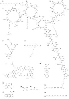 Elicitors of Plant Immunity Triggered by Beneficial Bacteria